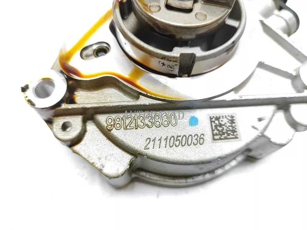 Vacuum Pump Power Brake Booster For Peugeot Peugeot 208 3008 5008 Citroen 1.2T,1.2 THP OEM: 9812133880 HS30-300-016