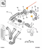Intake Manifold Gasket For Peugeot 3008 Citroen C4 OEM: 0382QW HS01-013-019