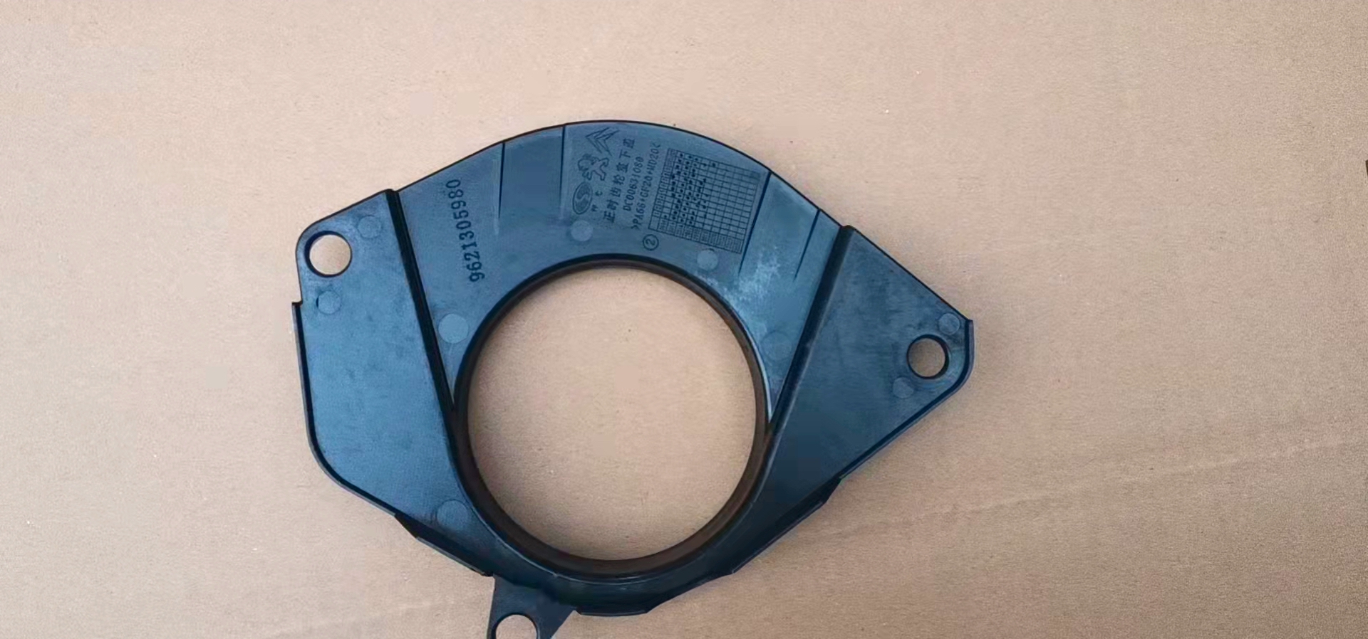 DVD09-1308