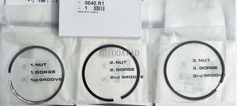 Piston Ring for Peugeot 206 207 307 Citroen C2 C3 1.4L 75mm Engine TU3JP OEM : 0640R1 AE:R67020 STD MAHLE:04002N0/04002V0 HS01-010-020