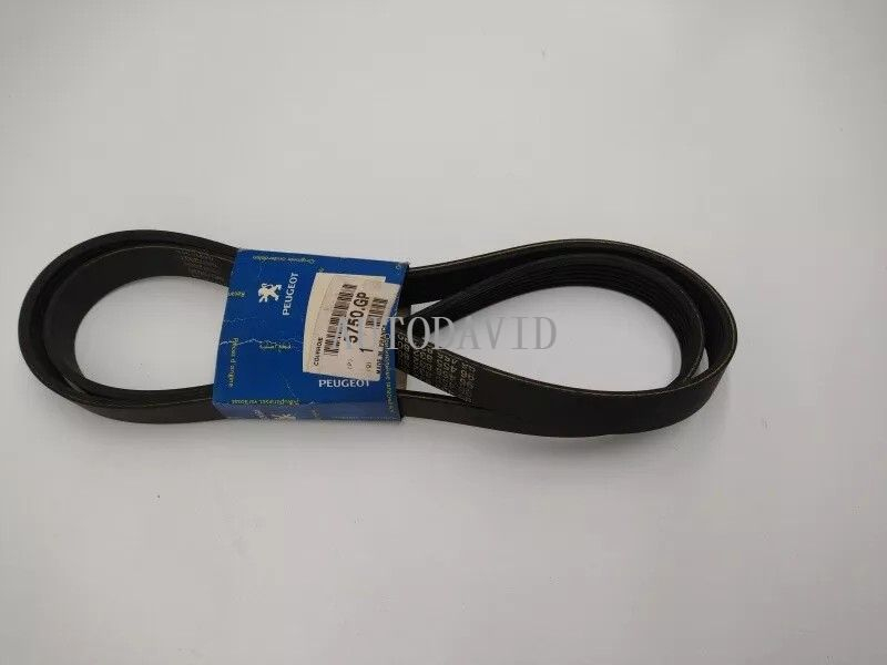 High Quality Belt Fan For Peugeot 306/Partner OEM: 5750GP 5750Y6 6PK1388 1612160980 1635645380 9645583280 HS01-013-008