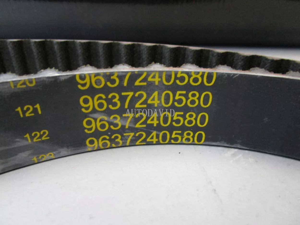 Timing Belt for Peugeot 206 307 3008 406 EW10 407 508 607 806 BX3 OEM : 0816F4/A1/C2 9635007680 9635007780 9637240580 9647610080 HS01-011-003