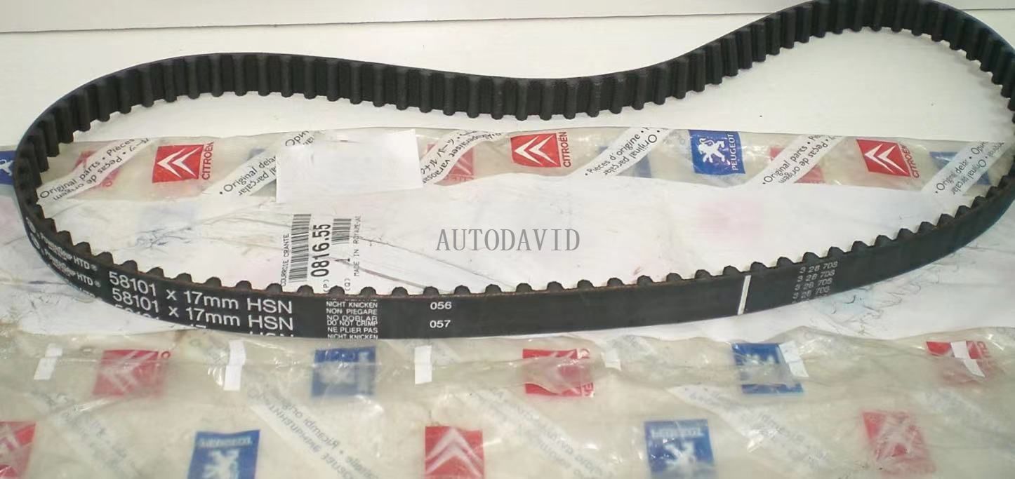 Timing Belt for Peugeot 206 306 405 Us 1.4-1.6L,TU3/TU5 OEM: 081655 9608873580/96088735 HS01-011-001